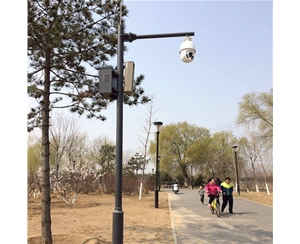 酒泉小区监控杆-LB-02